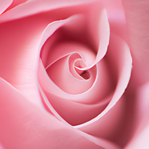 Lip Blushing - Million Dollar Brows